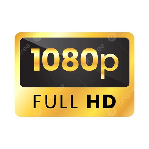 hd quality porn videos|1080p fhd porn HD videos